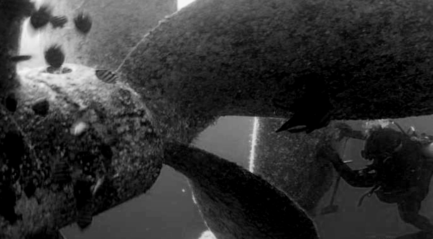 service-commercial-diving
